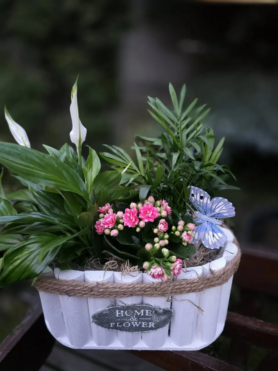 Coș alb cu spatifilum și kalanchoe