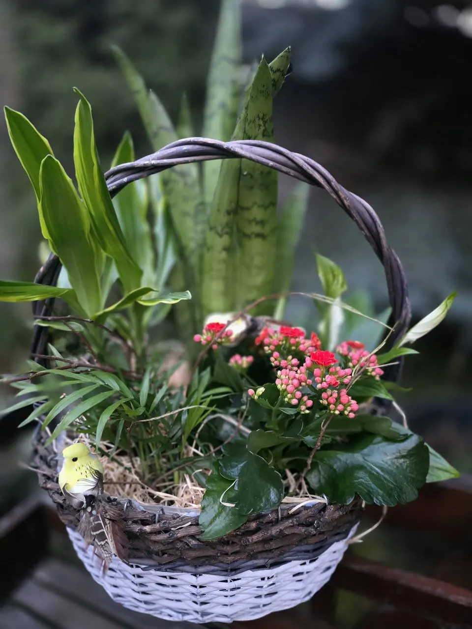 Coș cu plante verzi și kalanchoe roz