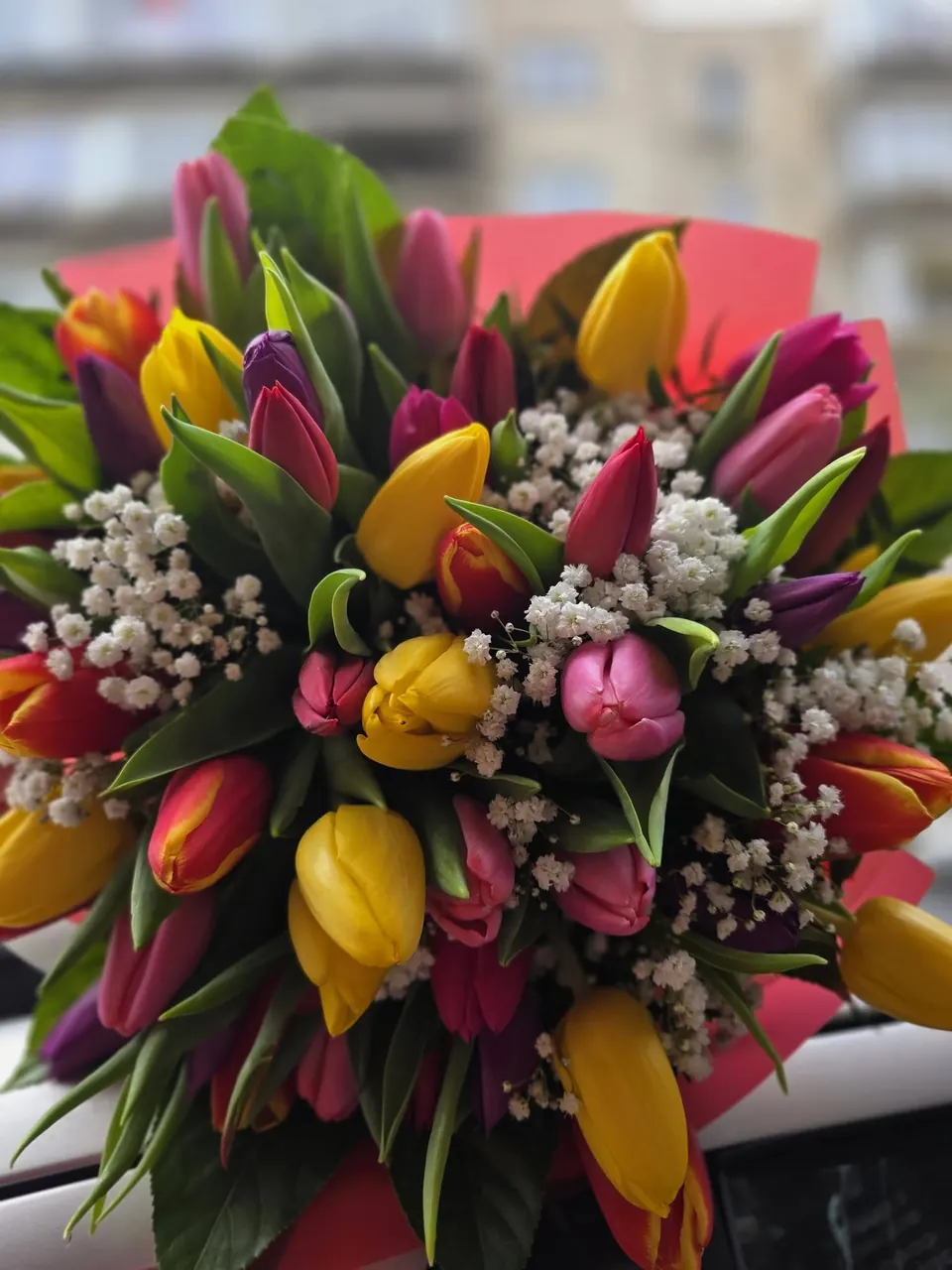 Buchet mare de lalele colorate cu gypsophila